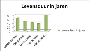 Levensduur in jaren van leisteen