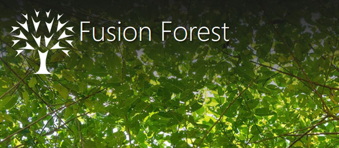 Fusion Forest actie Virdian Solar